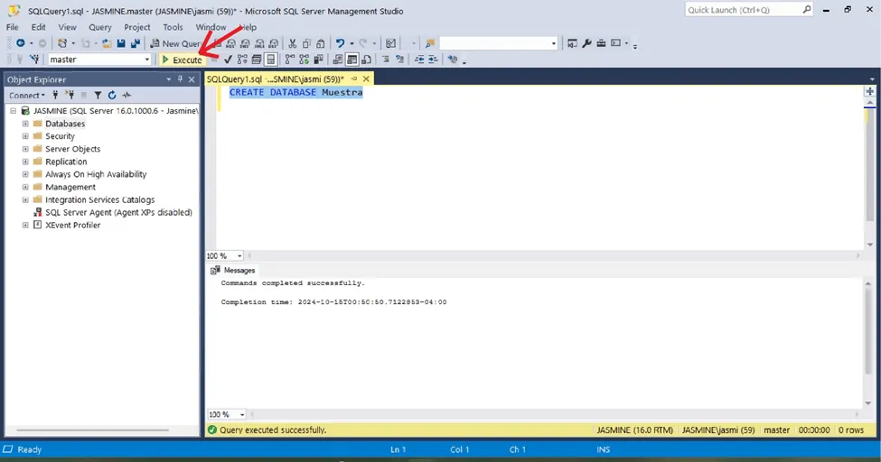 ejemplo para ejecutar consulta